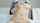 chaturbate camgirl webcam