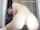 camgirl anal white