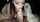 blowjob teen hot
