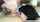 darkhair rimming threesome