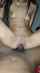 amateur couple interracial