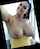 milf big tits pornstar