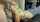 blonde deepthroat blojob
