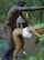 blond black outdoor