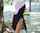 ads i know that girl latina