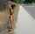 public bondage humiliation