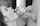 cum handjob black and white