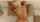 blondie blond blonde