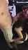 camgirl amater milf
