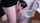 brunette toilet blow job