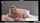 ads pussy mother