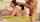 naughty america rough hair pull