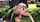 nature blowjob mouth