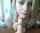 camgirl amateur masturbation