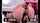 lesbian anal dildo