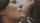 blowjob brunette sexy