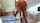 redhead petite blowjob