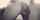 pussy ass dick