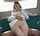 asian bus public