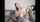camgirl cam amateur