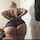 bbw ass huge ass