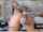 ads blonde anal