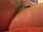 camgirl solo fingering