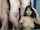 camshow camgirl chaturbate