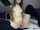 tits camgirl amateur