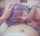 model amateur blowjob