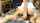 wife tease femdom