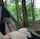 hammock nature outdoors