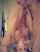 blowjob sex sexy
