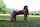 amauter teen brunette