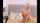 cam camgirl blonde