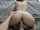 couple big cock big ass