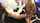 blacked black camgirl