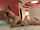 big ass latina sex
