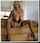 milf blonde beautiful