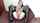 teen camgirl brunette