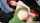 chaturbate redhead camgirl
