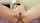 jav japanese uncensored