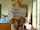 striptease camgirl women