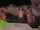 teen lesbian licking