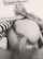 big dick white girl cowgirl