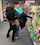 amateur public shopping