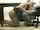 blowjob sucking office