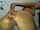 camgirl latina fuck