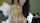 beautiful camgirl brunette