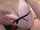 asian big tits uncensored